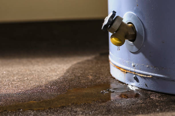 Best Flood restoration services  in Harper, KS