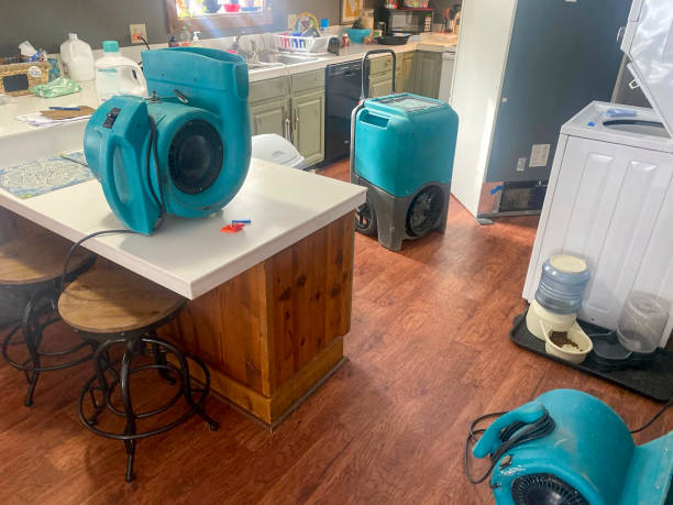 Best Carpet water damage restoration  in Harper, KS