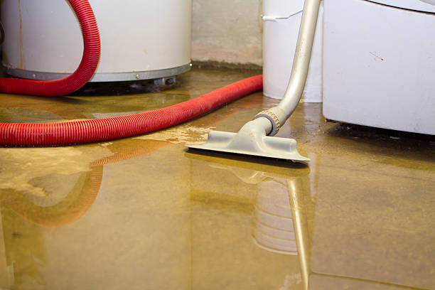 Best Sewage cleanup and water damage restoration  in Harper, KS