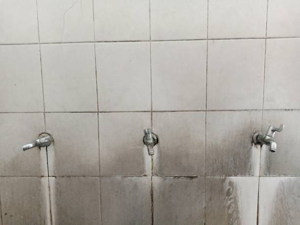 Best Ceiling water damage repair  in Harper, KS