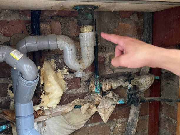 Best Water damage contractors near me  in Harper, KS