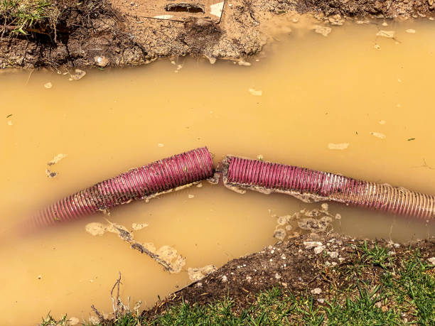 Reliable KS Water damage restoration Solutions