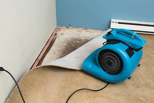 Best Carpet water damage restoration  in Harper, KS